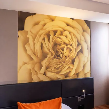 Hotel Elixir